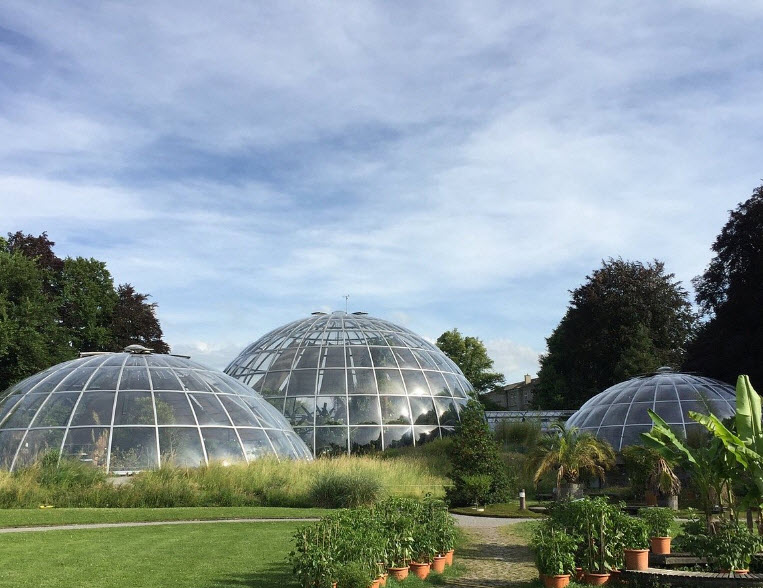 ISU Botanical Gardens, Russia